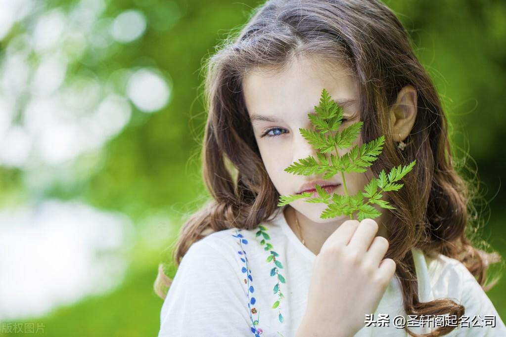 带木字旁的网名，带木字旁的网名优雅女